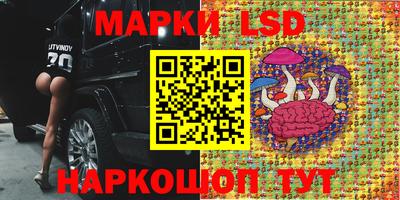 ALPHA PVP Тверь