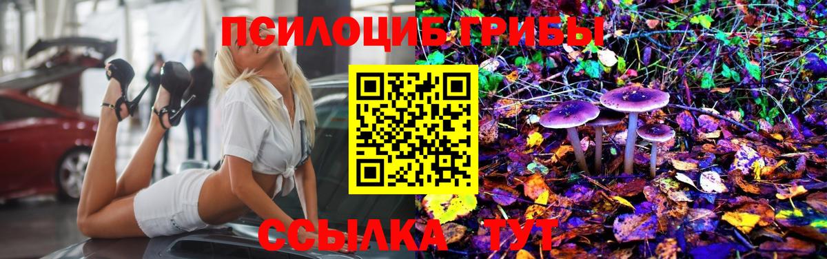 Полевской  Галлюциногенные грибы Psilocybe  Вход с VPN 